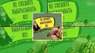 НЕ СПЕШИТЕ ВЫБРАСЫВАТЬ ИХ!