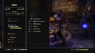 Nightblade Healer Guide