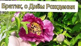 С Днем Рождения, любимый братик. / Поздравляем