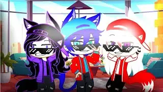 video aleatorio