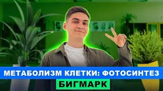 Метаболизм клетки: Фотосинтез | Интенсив БигМарк | Марк Ламарк