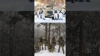 Путин заявил, что российские военные пересекли границу с Украиной в Курской области.