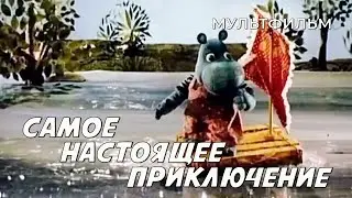 Самое настоящее приключение (1990 год) мультфильм