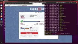 Install Folding At Home Client on Ubuntu 20.04