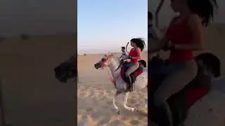 hot girl ride  horse  to maximum speed || best horse  rider women