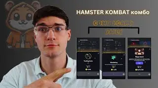 Hamster Kombat комбо Quick Guide 2024