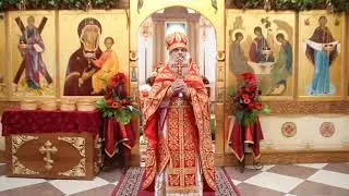 Проповедь в день празднования иконы Живоносный Источник