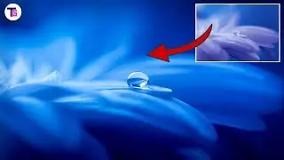 Color Correction In Camera Raw - Photoshop Tutorial