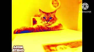 Кот Барсик in Robot Flip