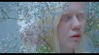 beautiful girl stock footage