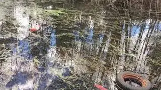 Кадры из Сталкера