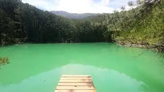 Бирюзовое озеро - пение птиц и природа 🌄Turquoise Lake - birdsong and nature 🌅