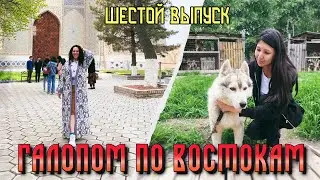 Галопом по Востокам / Шестой день путешествия / Шёлковая бумага в Самарканде и пушистики Приморья