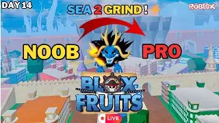 DAY 14: Power Grind in Sea 2! ⚡🔥 |  Blox Fruits Noob to Pro Journey | Gravity Update 