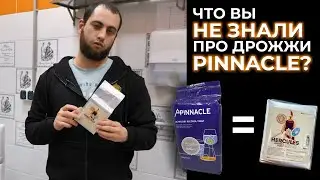 Обзор лучших дрожжей на рынке | Что Вы не знали про Pinnacle