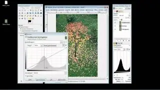 Gimp - Teil 5: Gradationskurven verstehen (mit verbesserter Tonqualität)