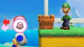 Super Mario Maker 2 Versus Multiplayer Online