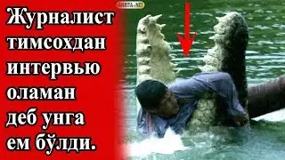 24 Ёшли Йигит Тимсохга Ем Булди