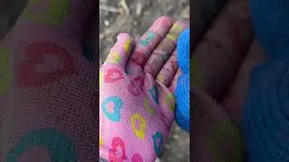 Знайшла ще одну) 