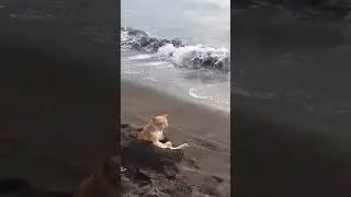 расслабуха