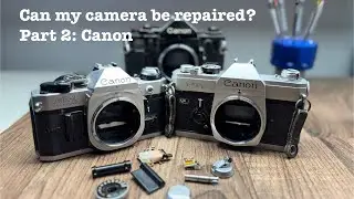 Can my camera be repaired? Part 2: Canon
