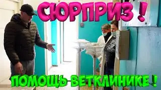 НА ЧТО ПОТРАТИЛ ДЕНЬГИ ? [Жизнь в деревне]