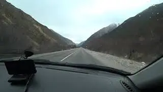 Елена Силаева