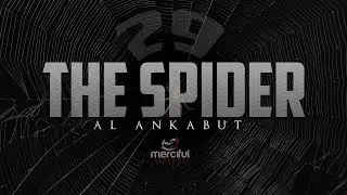 THE SPIDER (HEART TOUCHING QURAN)