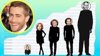 How Tall Is Jake Gyllenhaal? - Height Comparison!
