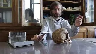 Станислав Дробышевский. Краниометрия. Научные методы в антропологии. Серия 2.