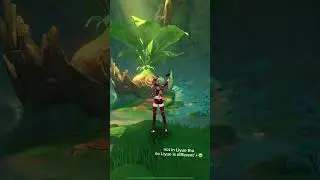 4 Ways To Get Primogems 