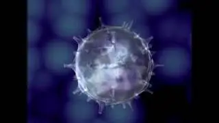 3DS MAX Influenza Virus