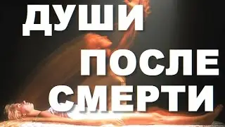 Для Чего Душа Приходит в Тело? Жизнь После Смерти! Реинкарнация. 07.12.2016