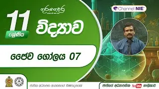 ජෛව ගෝලය 07 (III වාරය - 15 පාඩම) - 11 ශ්‍රේණිය (විද්‍යාව)
