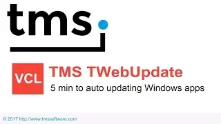 TWebUpdate & TMS UpdateBuilder: 5 min to auto updating Windows apps