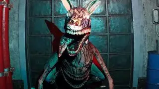 Zoochosis Is A... Mess