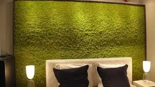 Зеленый мох в интерьере