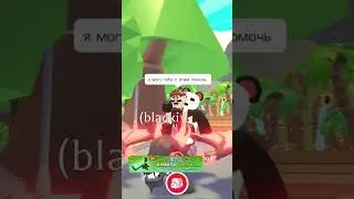ПОДАРИЛА САМЫХ КРУТЫХ ПЕТОВ ПОДПИСЧИКАМ😳