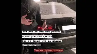 цитата