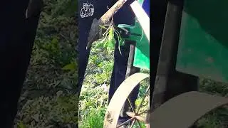 ✂ Double flat cutter for quick weeding 🌱 Attachments for a universal hand cultivator