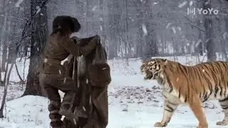 When the tiger comes the strong man fights against it with bare hands