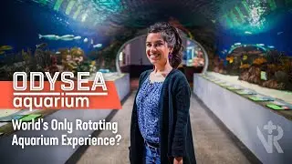 OdySea Aquarium in Scottsdale, AZ | Home of the World's Only Rotating Aquarium Experience?