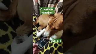 Я отключаю телефон 