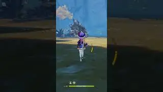Genshin Impact C5 Qiqi DPS 