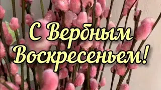 Поздравляю с Вербным Воскресеньем!