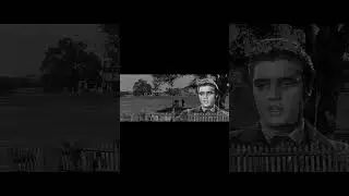 Elvis Love Me Tender #Shorts #music #elvis #elvispresley #love #song #elvislives #americansinger
