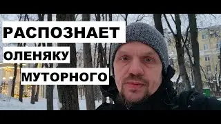 #РФLive - Поведение животного и неправильное поведение. Не ошибайся, не олень | #МД Мужское движение