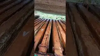 ✅ Как сохранить сушь от моли!
