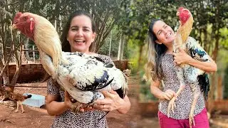 FRANGO ÍNDIO GIGANTE - LUCRO CERTO! COMO CRIAR? DICAS VALIOSAS! FRAN ADORNO