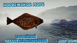 РР4 • Норвежское море • Трофейный Палтус атлантический .